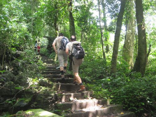 Le Parc National Cuc Phuong